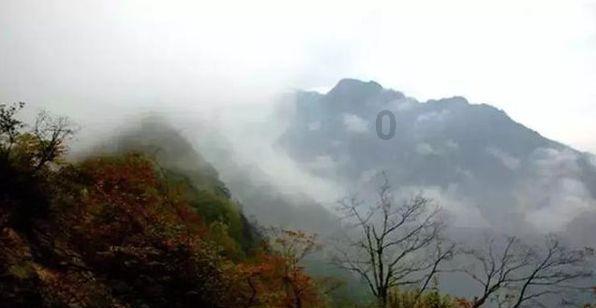 坦克动荡加强版