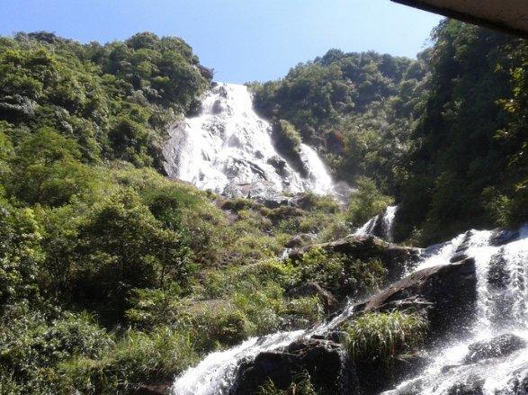 智能观光车：科技保障下的安全旅行与规范交通